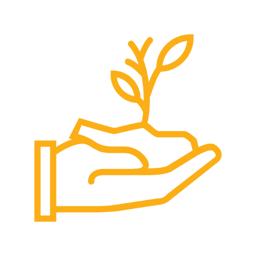 Sourcing & Procurement