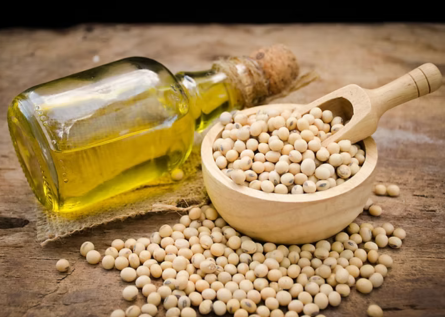 Crude & Refined Soybean Oil