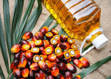 Crude & Refined Palm Oil (RBD Palm Olein, Palm Stearin)